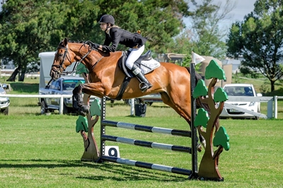 Oakhill not horsing around