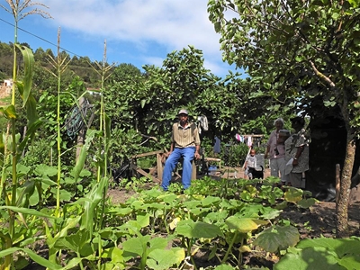 Gardening competition: almost time to judge