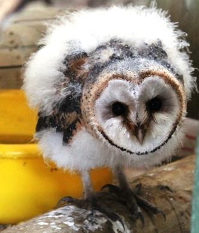 Dit woel op Fransmanshoek