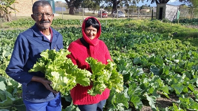 Ouderdom keer nie ywerige tuinier