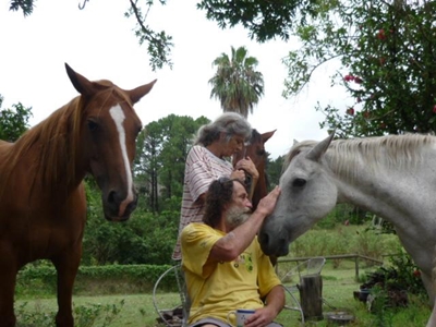 Update: Battle to save stranded horse
