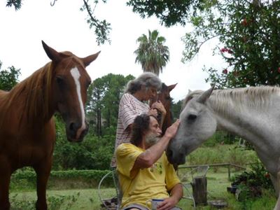 Update: Battle to save stranded horse