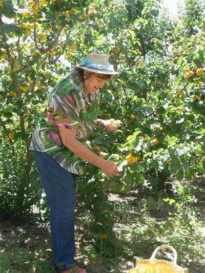 Binnekort appelkoostyd by De Krans