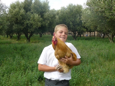 Laurus hou eerste Groei Saam-markdag