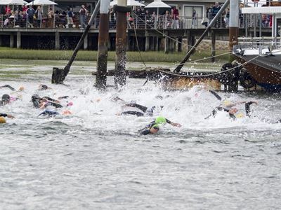 Big 5 in Knysna