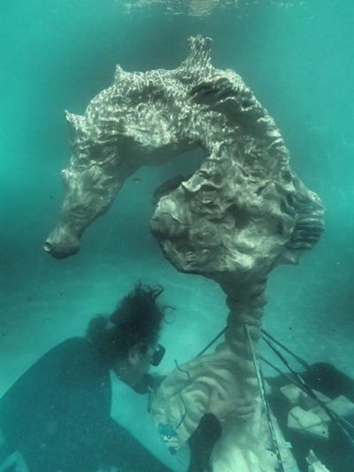 Largest underwater seahorse created in Knysna