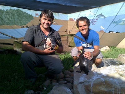 Update: Saving penguins step by step