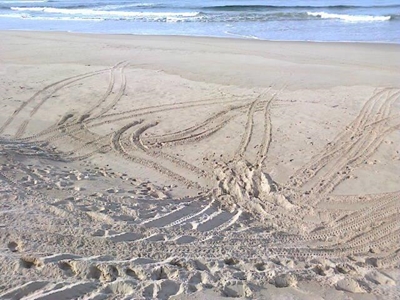 Vierwielmotorfietse onwettig op strand