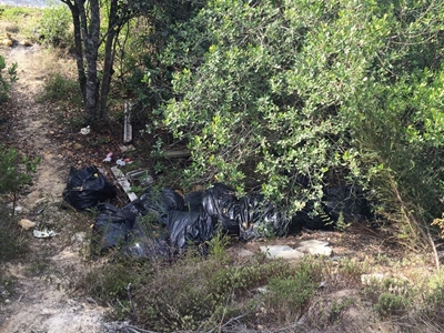 Help clean up Knysna with your phone