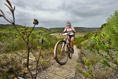 Plaaslike span wen Cape Outback