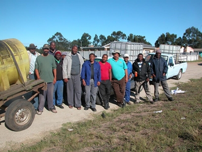 Pig farming under the spotlight