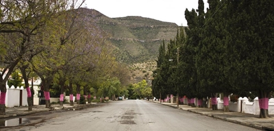 Estèe Lauder partners with pink trees