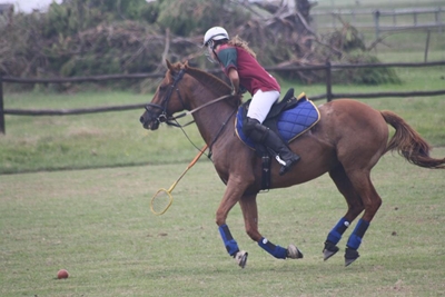 Local polocrosse players shine
