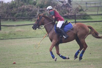 Local polocrosse players shine