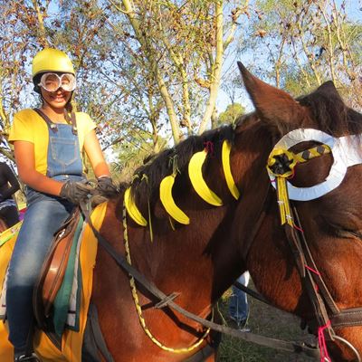 Volunteers needed for disabled riding initiative
