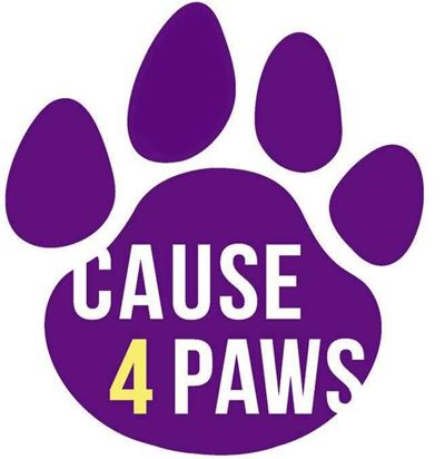 Mass animal sterilisation this Saturday