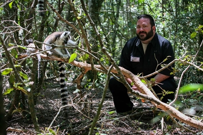 Conservation is no monkey business