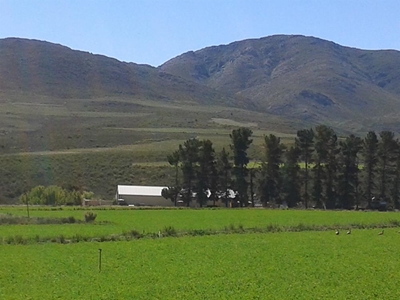 Two sought-after Uniondale farms plus movable assets to be sold on auction