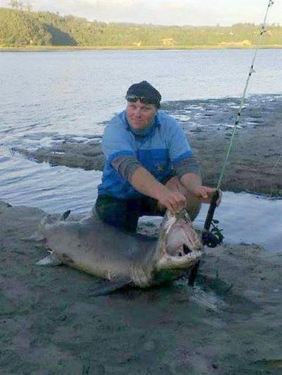 Toothy bycatch