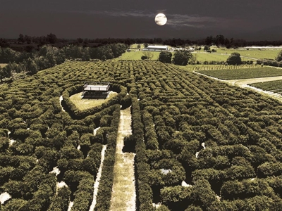 Head off to the Moonlight Maze