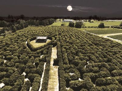 Head off to the Moonlight Maze