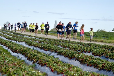 Strawberry Festival: Sports entries open