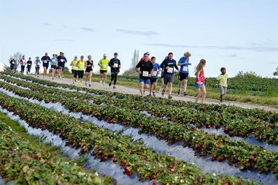 Strawberry Festival: Sports entries open
