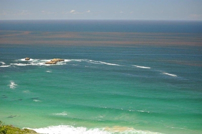 Red tide a natural spectacle