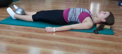 Pelvic floor and adductor muscles