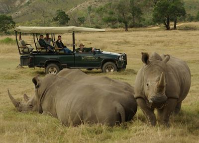 Take the family game viewing