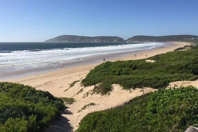 Update: Irish honeymooners drown