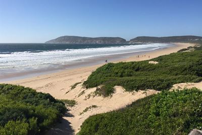 Update: Irish honeymooners drown