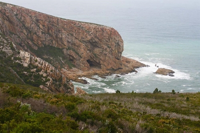 Plett gets another global nod