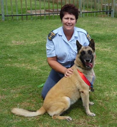3 medaljes vir polisievrou en haar hond
