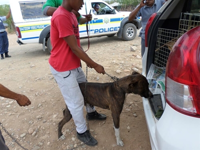 9-Jarige dood na hondbyt
