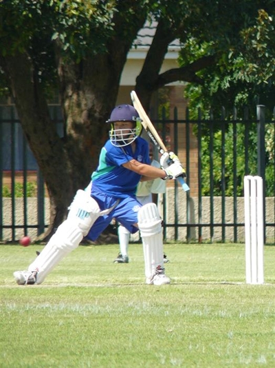Sarel Botha to captain WC invitational team