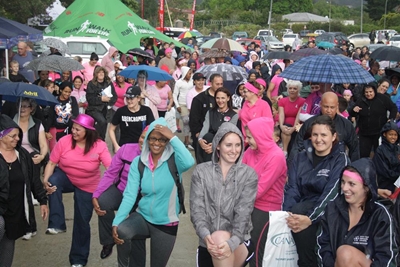 Record entries for breast cancer walk