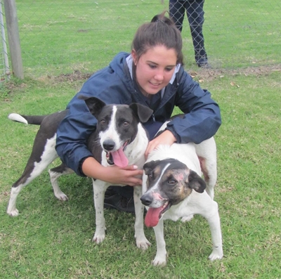 Animals love the Garden Route SPCA