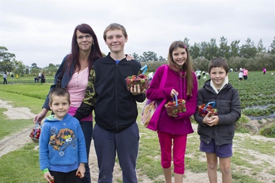 Strawberry Festival: 1 week to go