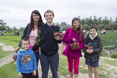 Strawberry Festival: 1 week to go