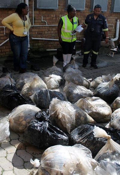 30 sakke onwettige perlemoen gevind