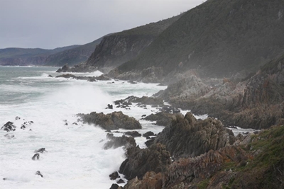 Green light for fishing in marine protected area