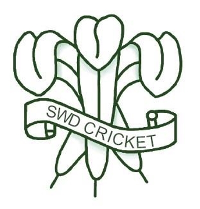 Brand identity for SWD Cricket