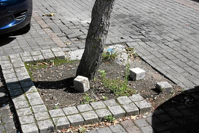 Van der Stel Square needs proper maintenance