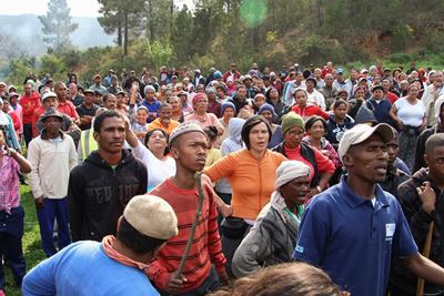Green Valley residents await Bitou action