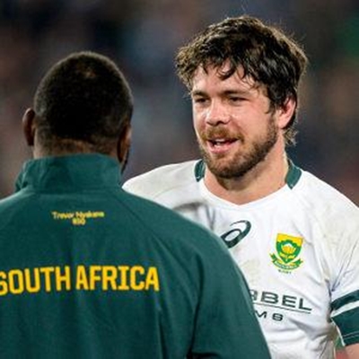 Springboks in Plettenberg Bay next week