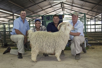Angora-veldramveiling skop 2016 af in hoë rat