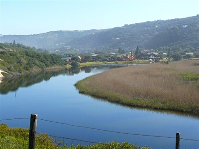 Conversations in conservation, in your back yard