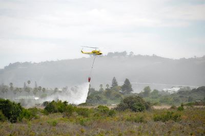Wilderness fire stopped in record time