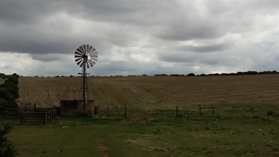 Wheat and stock farm up for tender